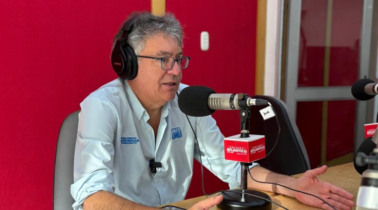 Mauricio cárdenas