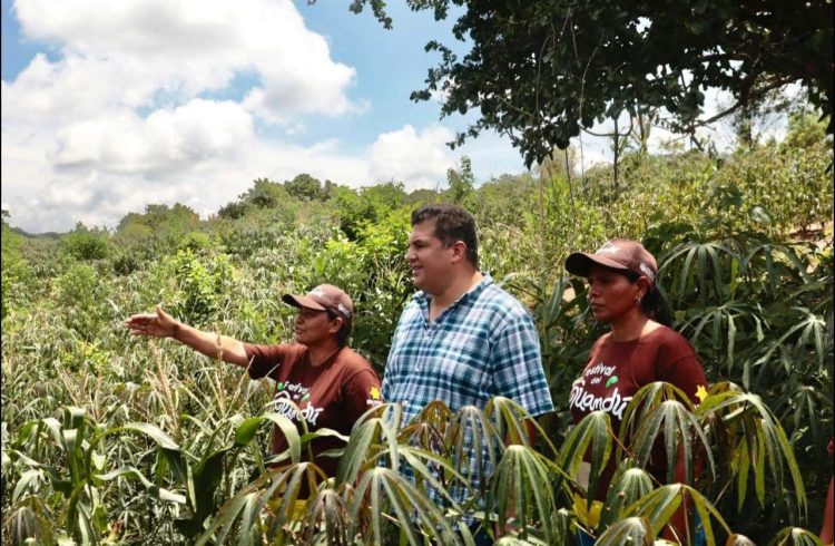 Alcalde de Baranoa y gestora social impulsan preventas en apoyo a las hacedoras del Guandú y el Bollo de Yuca de Sibarco