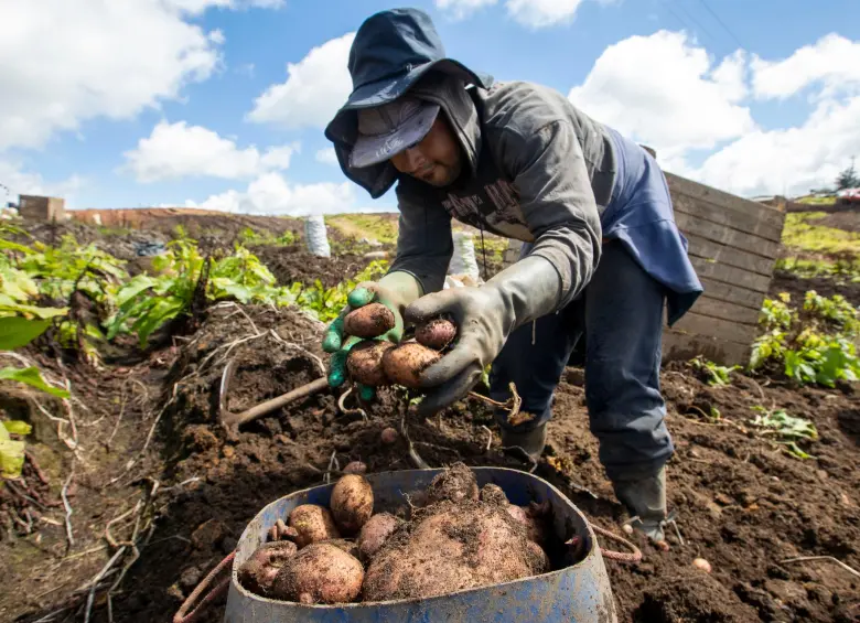 Reforma Agraria