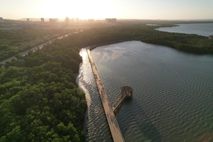 Barranquilla refuerza la protección de la ciénaga de Mallorquín y llama a la corresponsabilidad ciudadana