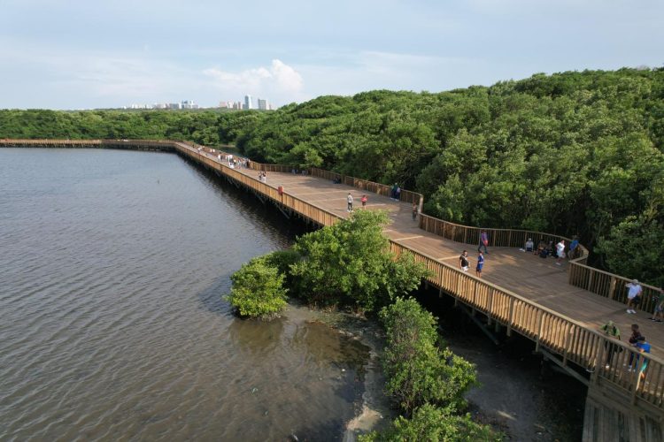 Barranquilla refuerza la protección de la ciénaga de Mallorquín y llama a la corresponsabilidad ciudadana