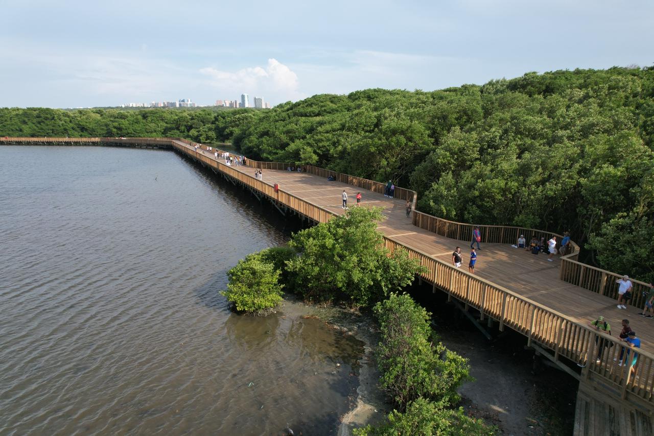 Barranquilla refuerza la protección de la ciénaga de Mallorquín y llama a la corresponsabilidad ciudadana