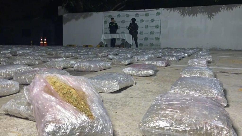 Policía de Barranquilla incauta 730 kilos de marihuana y desarticula centro de acopio de ‘Los Pepes’