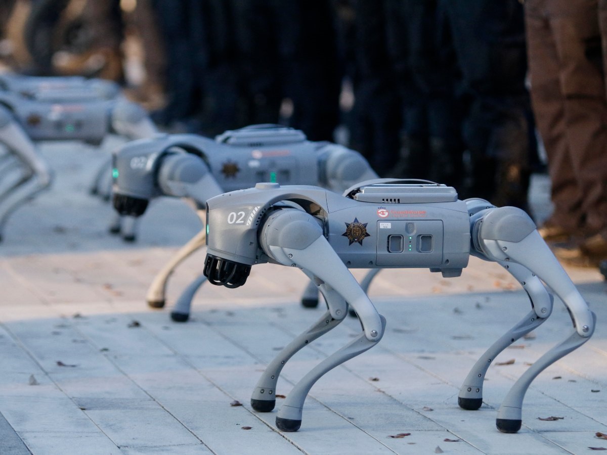 México: perros robots reforzarán seguridad durante el Mundial de Fútbol