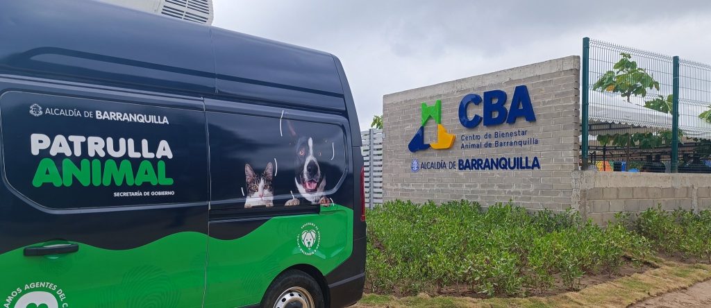 Animales rescatados en vivienda de Barranquilla permanecerán bajo cuidado institucional tras evaluación médica