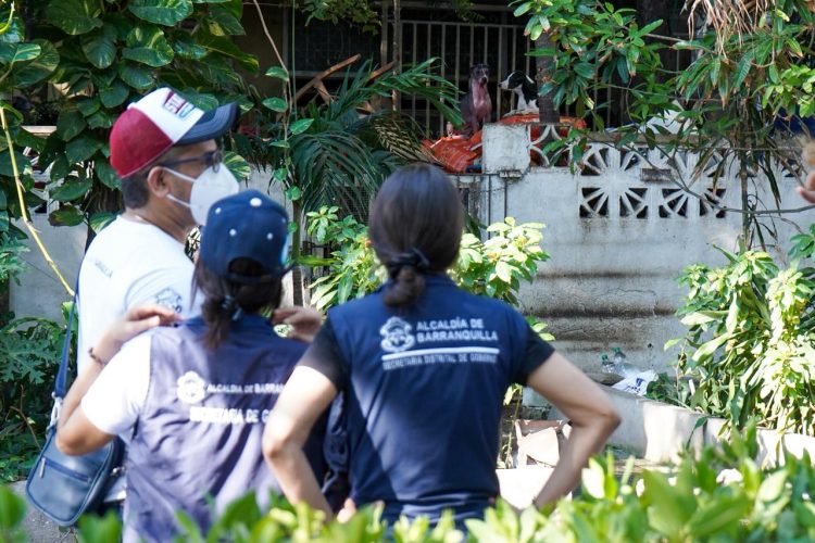 Rescatan decenas de perros y gatos en vivienda del norte de Barranquilla tras denuncias ciudadanas