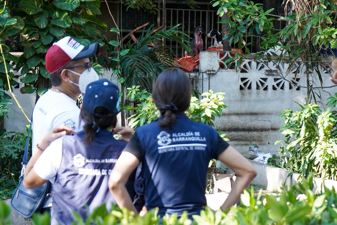 Rescatan decenas de perros y gatos en vivienda del norte de Barranquilla tras denuncias ciudadanas