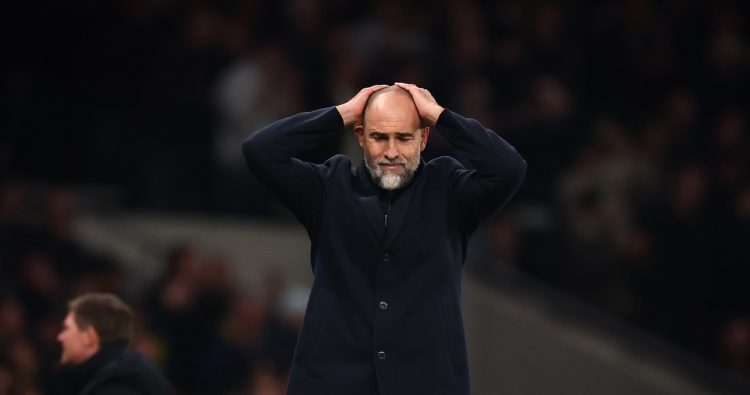 Premier League: se profundizan los temores por el descenso en el Tottenham