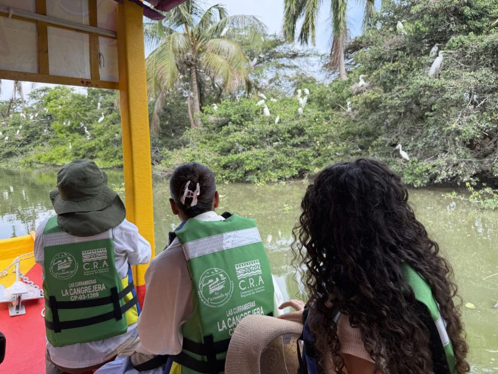 ‘Las Curramberas’: el nuevo atractivo turístico que conecta a Barranquilla con sus caños y la ciénaga de Mallorquín