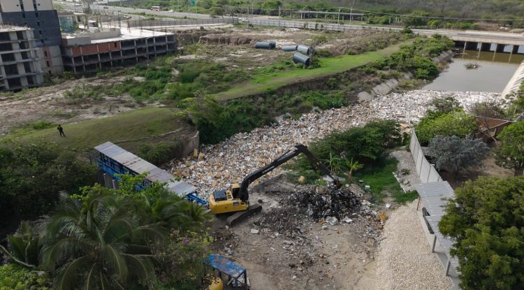 Barranquilla refuerza acciones para proteger sus ecosistemas y evitar contaminación en la ciénaga de Mallorquín