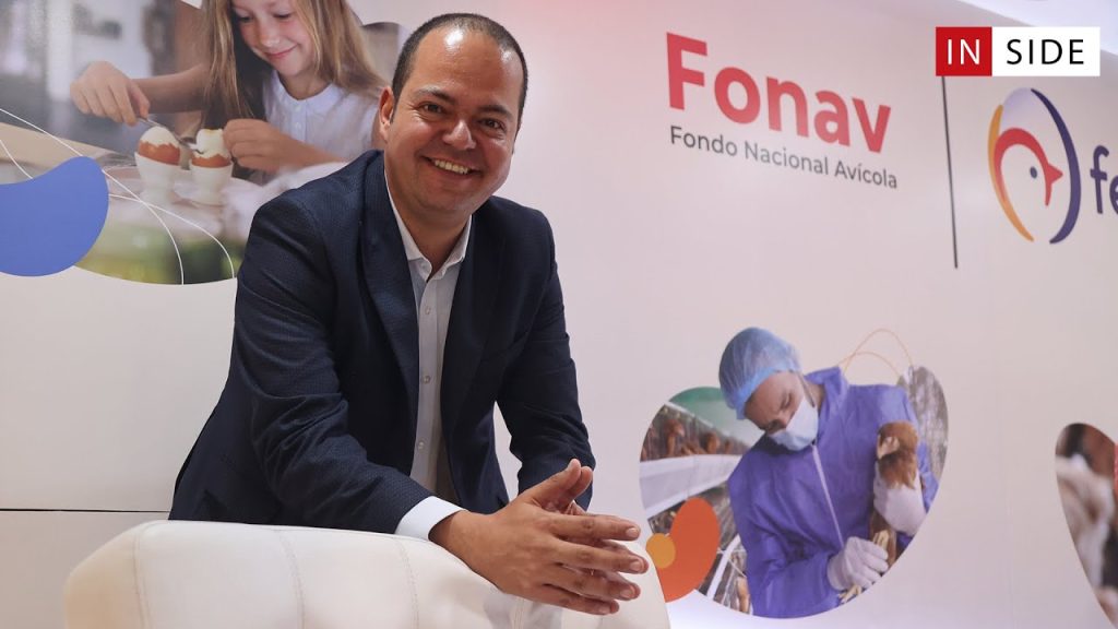 Gonzalo moreno fenavi