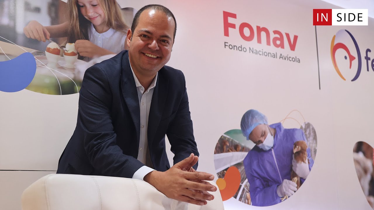 Gonzalo moreno fenavi