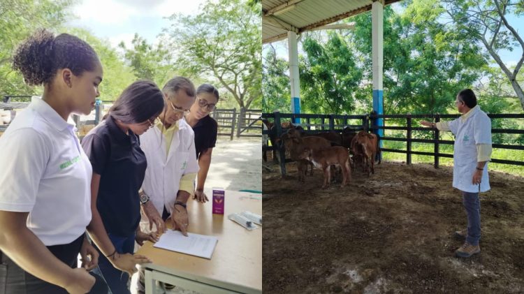 Finca El Caney del SENA Atlántico recibe Sello Ambiental Colombiano por impulsar ganadería sostenible