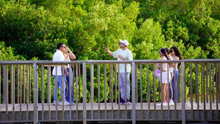 Barranquilla fortalece su biodiversidad con bosques urbanos y medidas para enfrentar el calor extremo
