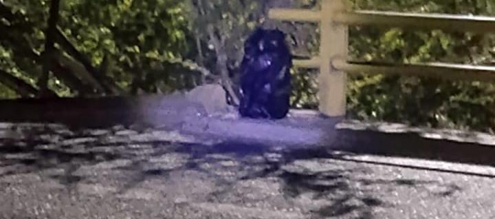 Descartan explosivos en cilindros abandonados en la vía de la Cordialidad, a la altura de Galapa