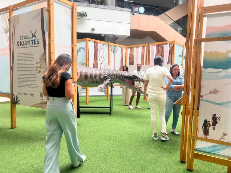 Barranquilla será sede de encuentro internacional sobre estudios de fiesta, nación y cultura