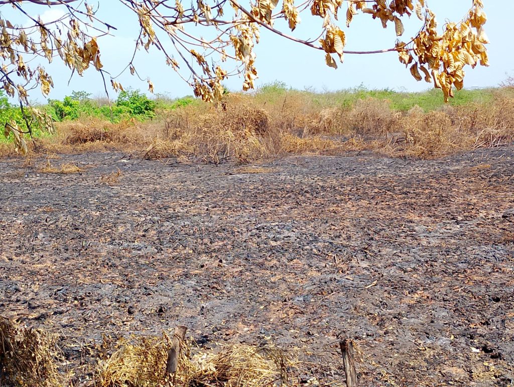 Barranquilla activa plan preventivo ante temporada de huracanes y posible fenómeno de El Niño fuerte