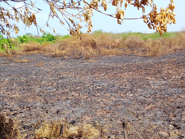 Barranquilla activa plan preventivo ante temporada de huracanes y posible fenómeno de El Niño fuerte