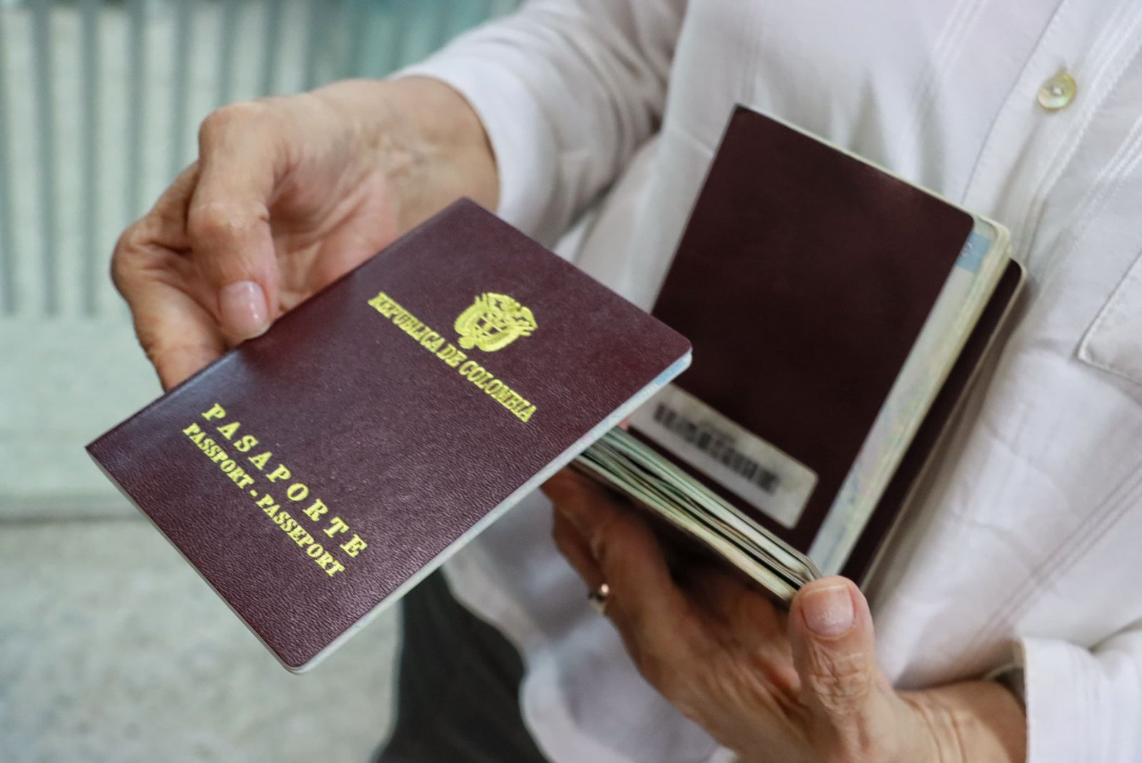 Pasaportes