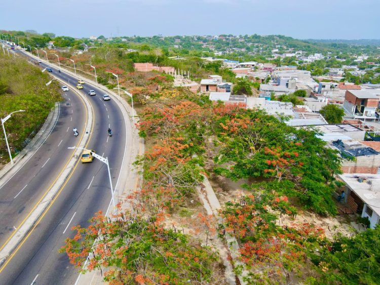 Barranquilla fortalece su infraestructura verde para enfrentar los efectos del cambio climático