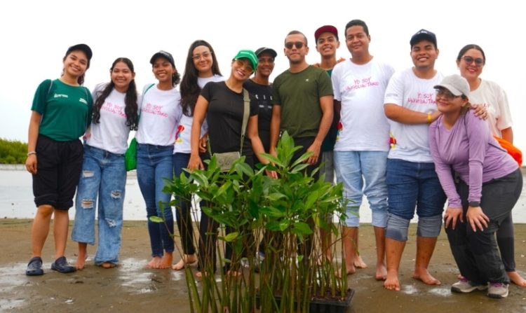 Más de 80 voluntarios siembran 335 manglares en la Ciénaga de Mallorquín para fortalecer su recuperación ambiental