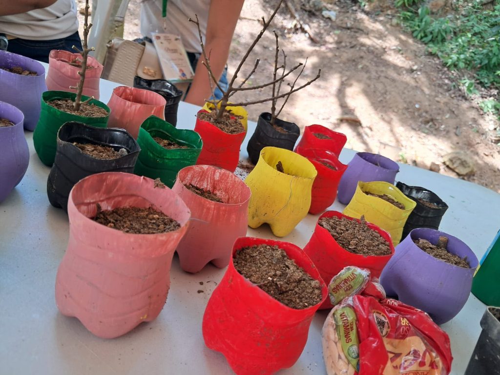Guaimaral celebrará el IV Festival Frutos del Campo para exaltar la cultura y el emprendimiento campesino