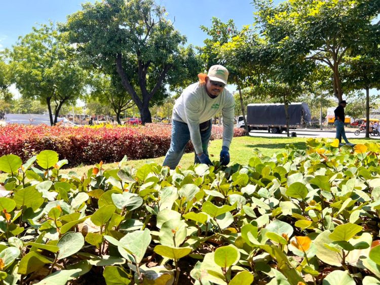Barranquilla impulsa campaña #CoolECiudad y destaca avances en sostenibilidad y transición energética