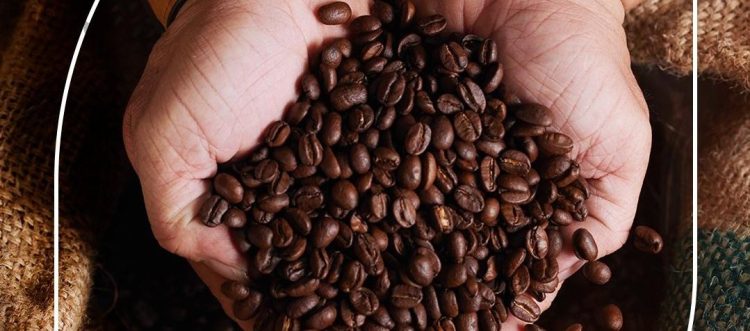 Producción de café en Colombia creció 43 % en junio, pero las exportaciones siguen cayendo