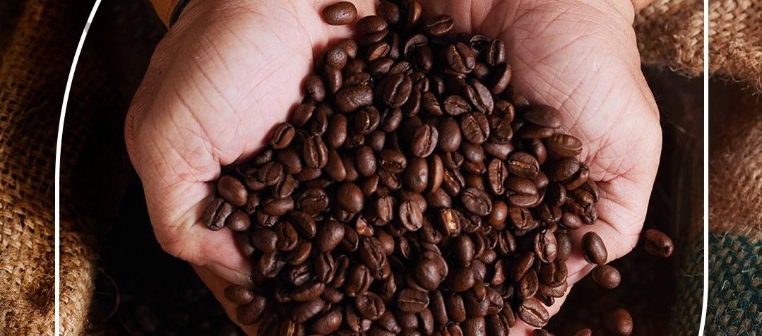 Producción de café en Colombia creció 43 % en junio, pero las exportaciones siguen cayendo