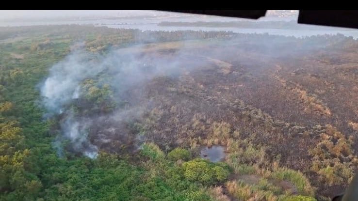 “Este año se han registrado cuatro incendios en Isla Salamanca”