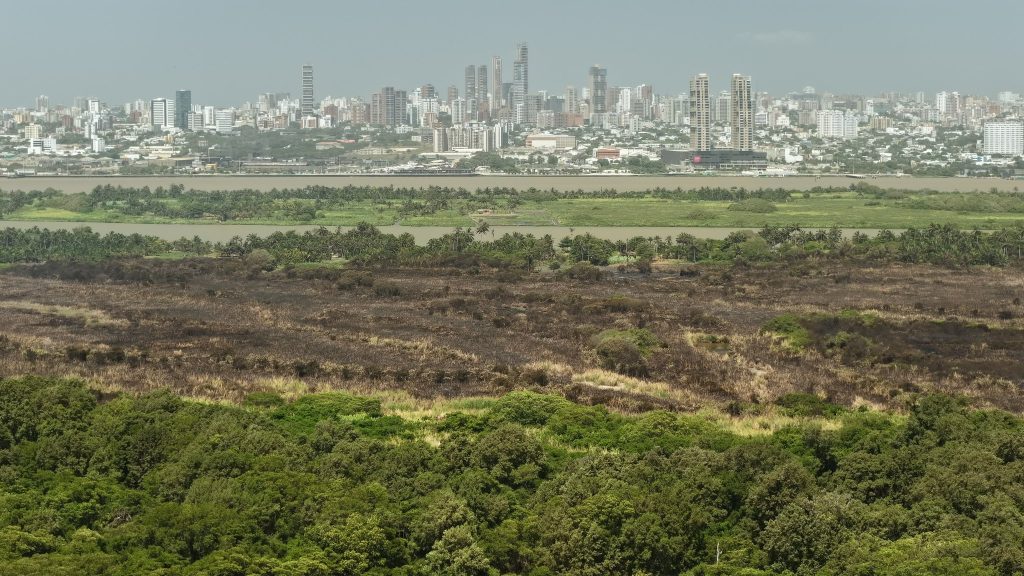 Incendio en el Parque Isla Salamanca fue controlado, confirma el alcalde Alejandro Char