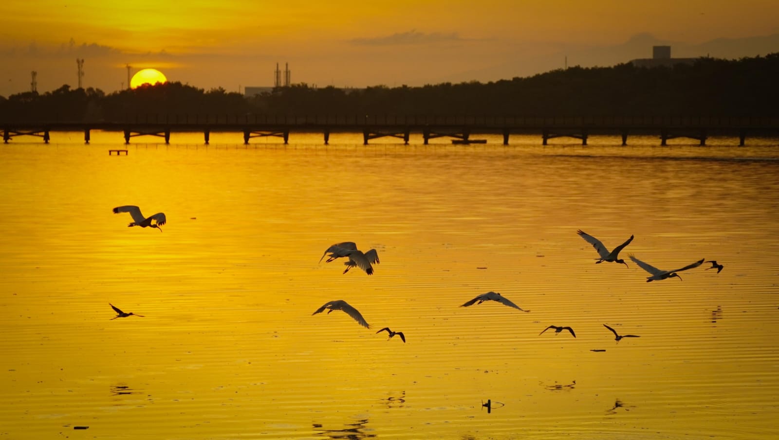 Barranquilla recibe máxima certificación de la ONU por liderazgo en restauración ambiental y sostenibilidad urbana