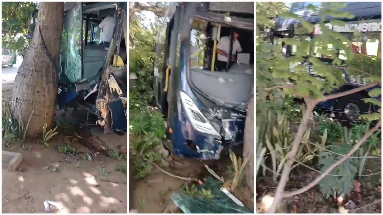 Bus alimentador de Transmetro chocó contra un árbol en el barrio La Concepción